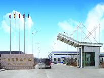 Weifang East Steel Pipe International Trading Co., Ltd.