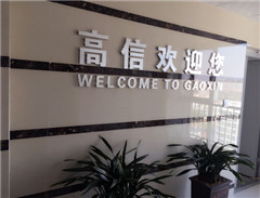 Shandong Gaoxin Chemical Co.,Ltd
